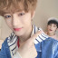 lovsbin