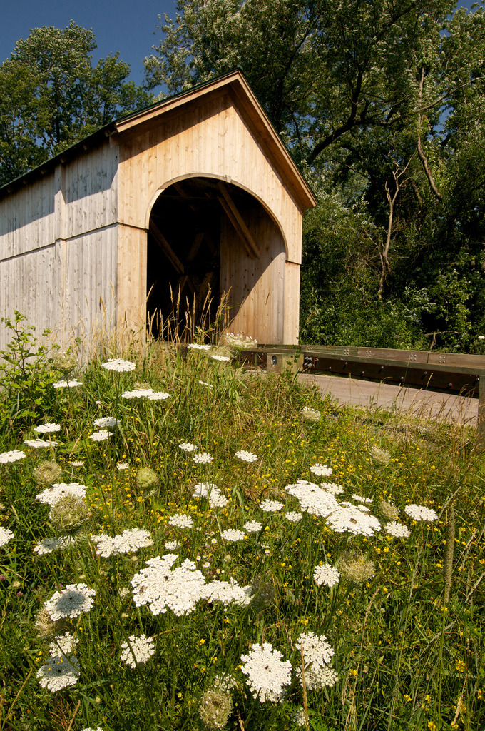 asweetheartbeing40:  archatlas:  Covered Bridges James Walsh  This makes me think