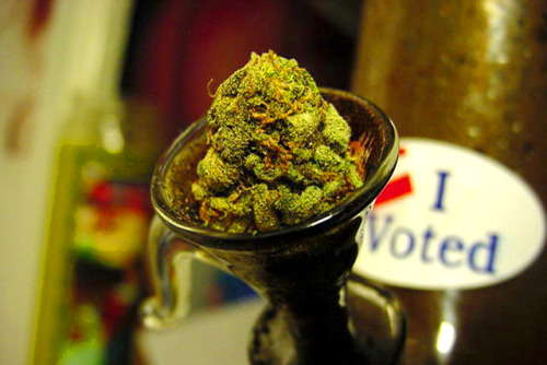 Babes-n-blunts