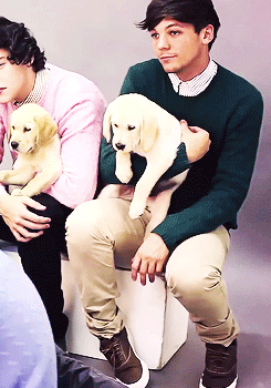 l-o-u-i-s-h-a-r-r-y-deactivated:  *:･ﾟ✧*:･ﾟ✧ 