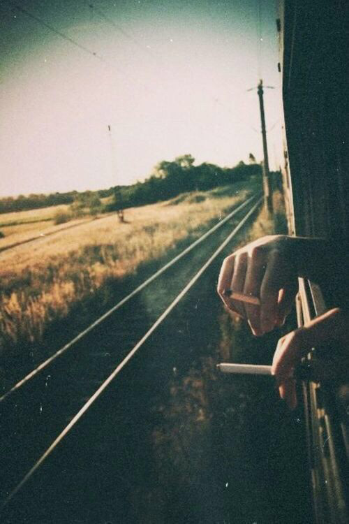 silly-luv:  ♡ find your best posts on my blog ♡