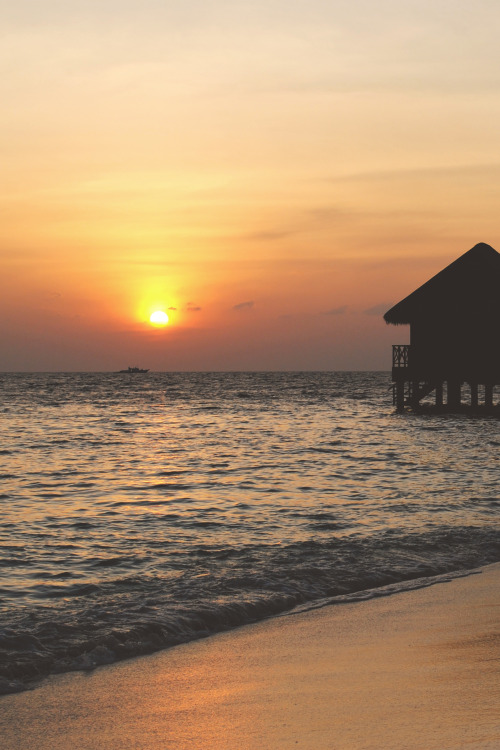 tryintoxpress: Maledives Sunset - by Tryintoxpress - • ♤♡♢♧ •