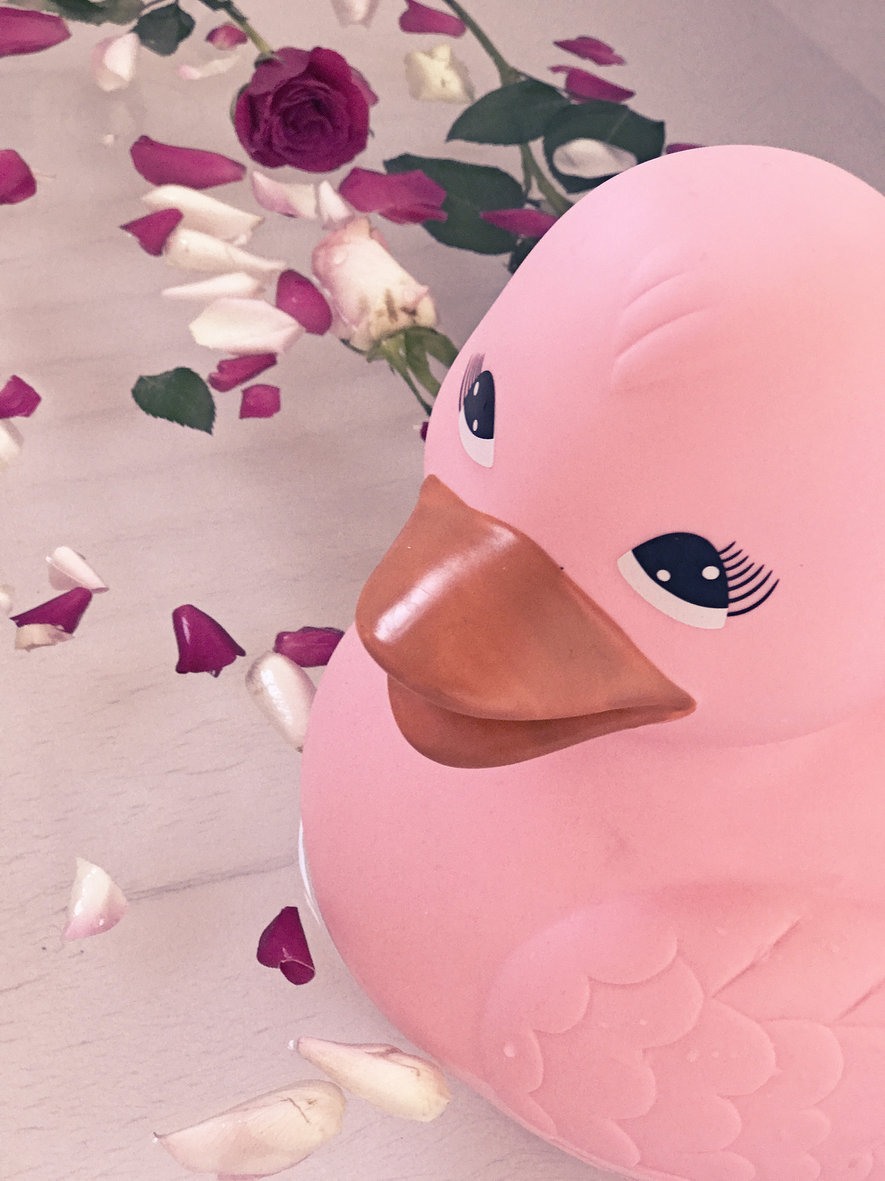 la-vie-en-r0se-x:  ~ Date night with Delilah duck ~leave my caption | ask about my