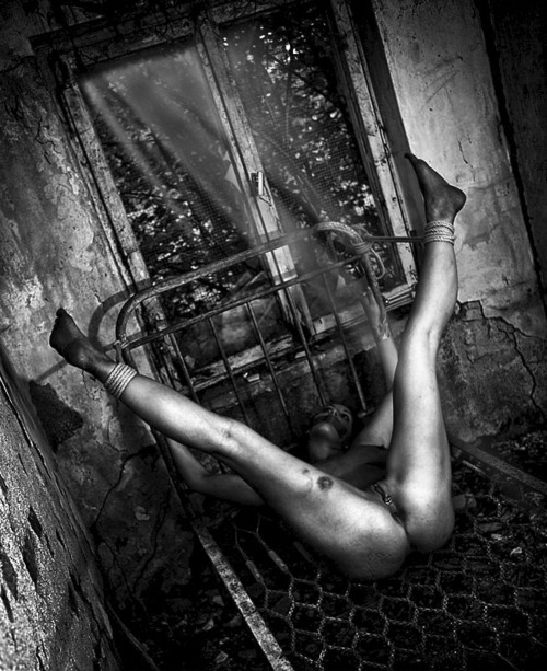 signorwolf:  Dormi bene Principessa..