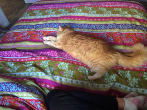 necro-mance:  why does he think he needs to take up this much bed 