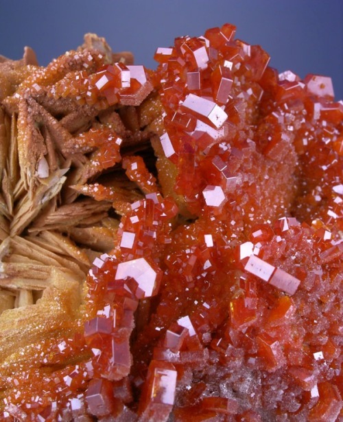 Vanadinte and Barite - Mibladen, Morocco