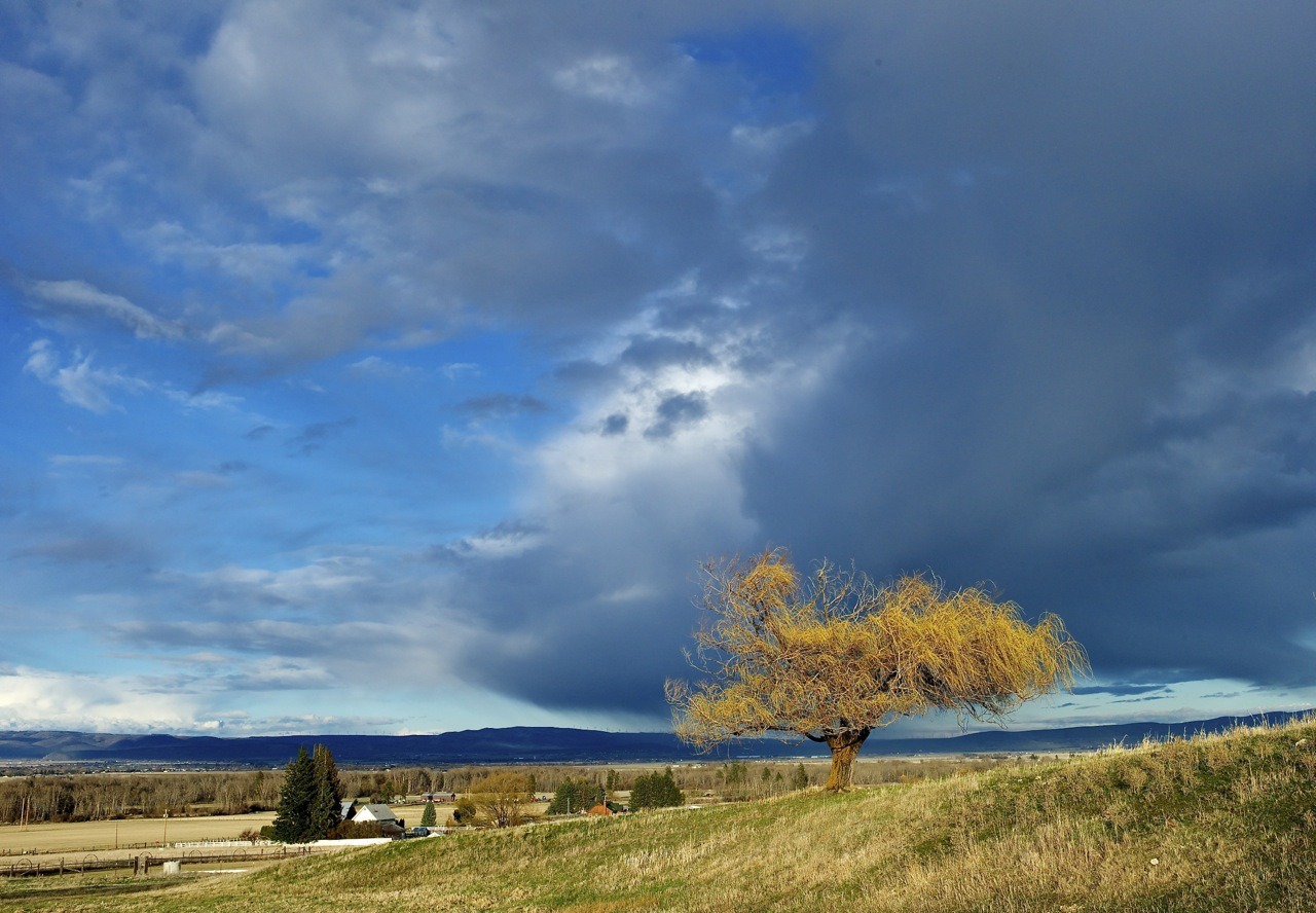 after the rain, Ellensburg, WA