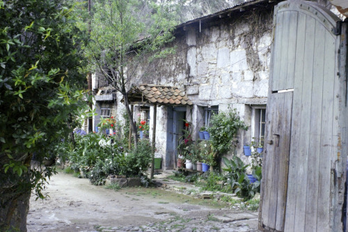 brandsilva:  En las montañas de Hidalgo un verano del 2013  brand silva