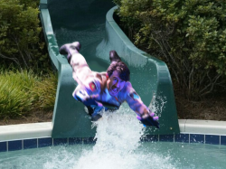 emdoestuff:my ‘creations’ with the meme. clearly, they are:markiplier at the water park, markiplier escaping an explosion, markiplier jumping off a plane 