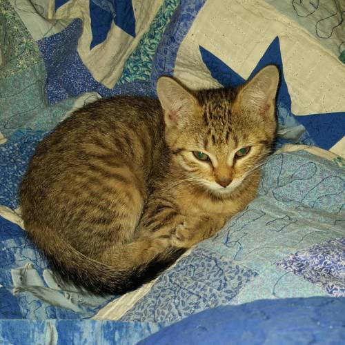 She is getting bigger. I&rsquo;m glad we are past the formula and soft food stage. When she is r