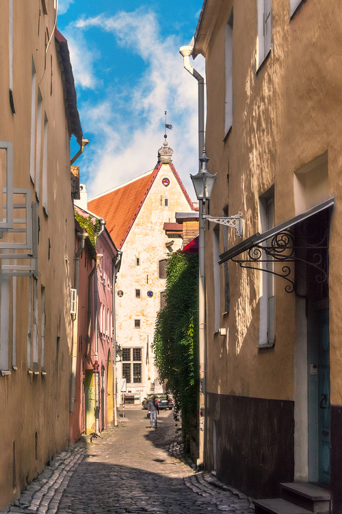 Morning in Tallinn, EstoniaTallinn | Baltic states