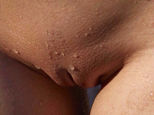 theultimateinnie: Collection of close ups.