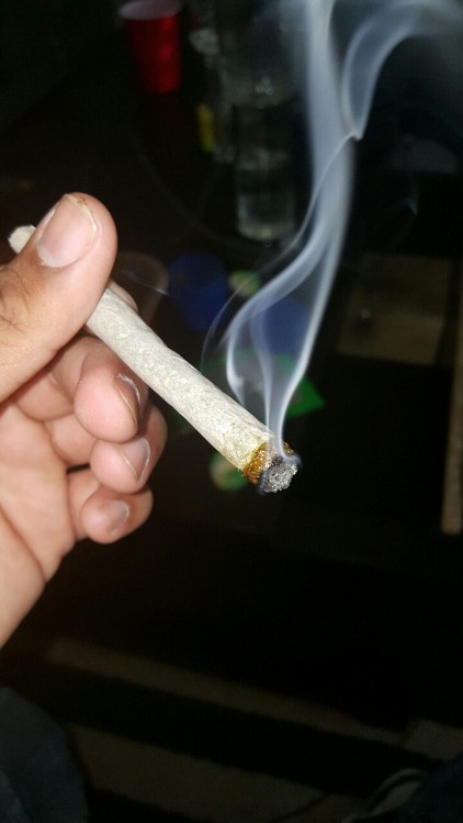 apt-420:  Wax 