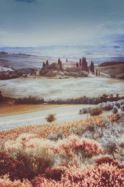 travelgurus:  The Beautiful Tuscany , Italy