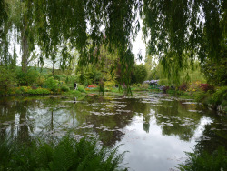 princesslinski:  monet’s water lily pond at giverny 