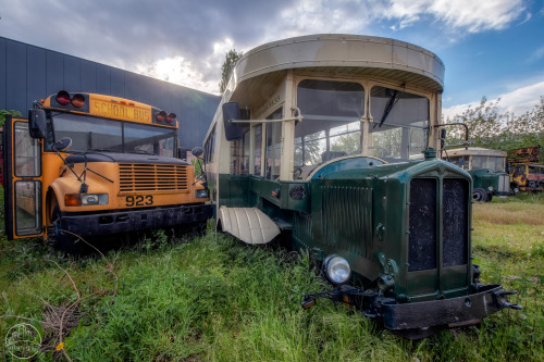 ANTIQUES ROADSHOWIn the backyard of a garage I came across this collection of discarded cars and bus