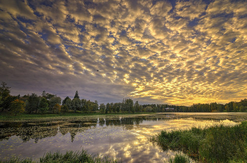 milamai:Flying With Clouds on Flickr.