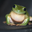 froggy2d