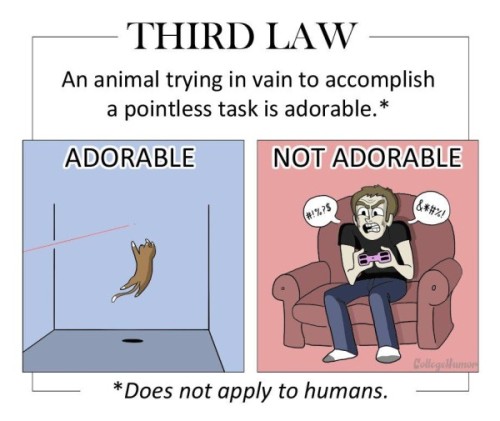 Sex tastefullyoffensive:  The Six Laws of Adorability pictures