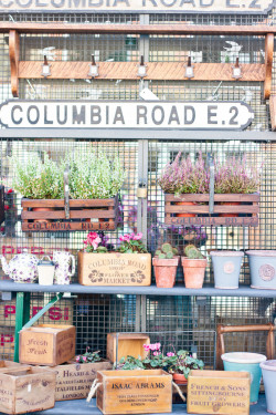 floralls:  columbia road flower market, London