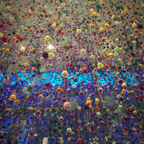 Porn photo Always bring flowers, Rebecca Louise Law