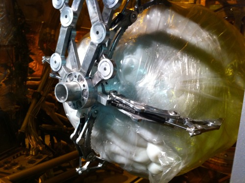 takudazai:  Some Detail pics of the Kaiju Organ Tanks we made for Pacific Rim. www.walterklassen.com