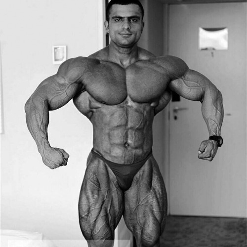 mitos:  Khalil Asadi