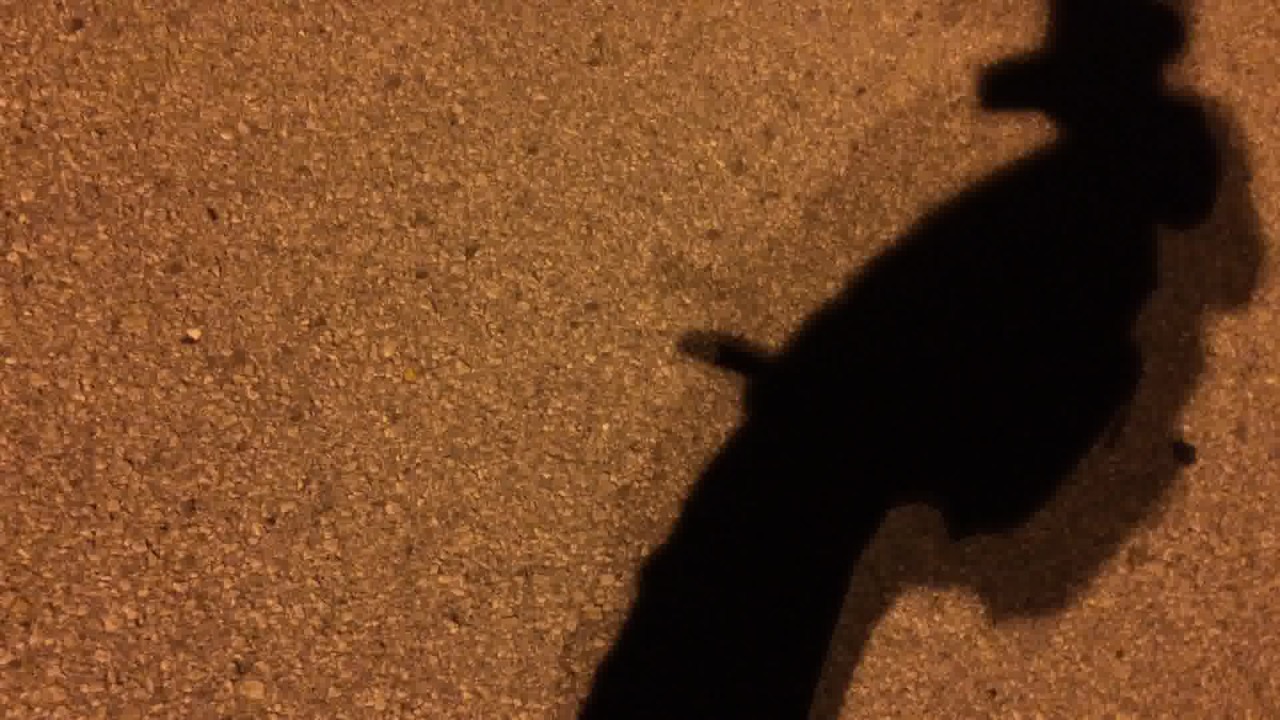 junkntrunk1979:  Night heat 