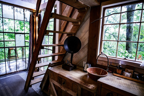 not-your-fancy-butler: utwo:  Treehouse © Danny Nabors  @numenor