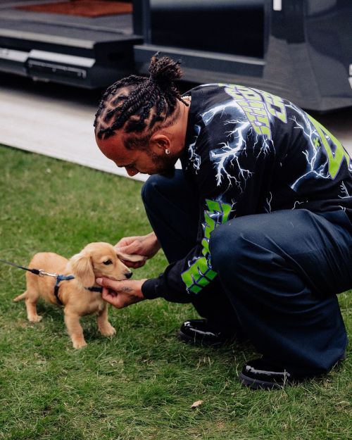 Charles_leclerc And Lewishamilton Dog Dads