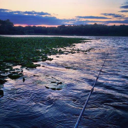 Scales, Fins, Pads, and Paddles. #Minnesota #10000lakes #northernpike #fishing @wenonahcanoe