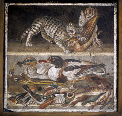 coolartefact:  Floor mosaic from “House of the Faun” Pompeii: Cat with bird, ducks, and sea life. 79 AD [1500x1400] Source: http://imgur.com/eovgIx4 