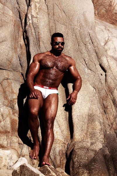 bonerriffic:  Furry muscle daddy 