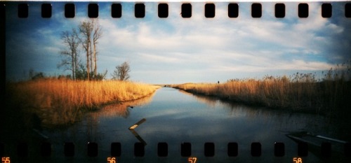 At the marsh with my Sprocket Rocket