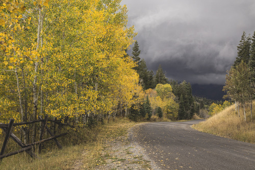 A very rainy drive on the Nebo Loop Scenic Byway.