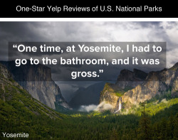 tastefullyoffensive:  One-Star Yelp Reviews