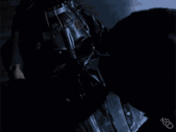 popnoodles:  Anakitten SkywalkerFull video https://www.facebook.com/photo.php?v=10152099892458289or http://www.youtube.com/watch?v=DyZepPS-i_s if you prefer youtube