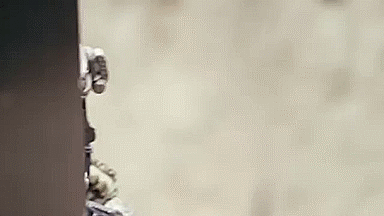 gunrunnerhell:  Polish Special Forces