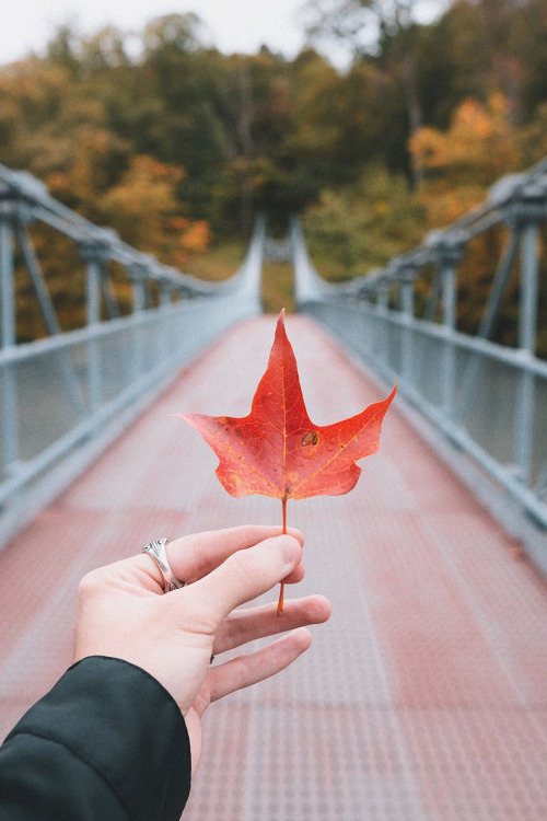 Signs of Autumn