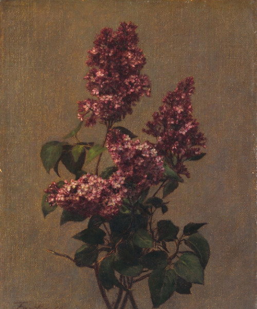 dappledwithshadow: Henri Fantin Latour Spray of Purple Lilac