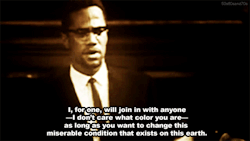 Night-Catches-Us:  Onehalfhipster:  One Of My Absolute Favorite Malcolm X Quotes