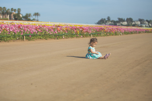 yourstruly-b:  kidsraisingkids:  Lindy is on Spring Break from work and we wanted to start the week off right with a visit to the flower fields. Ashtyn loved smelling all the flowers and playing in the dirt :) And of course I brought my camera…  Such