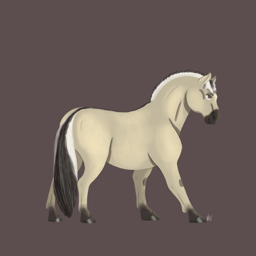 Horse races for Cavaland during my internship there Part1(Part2)