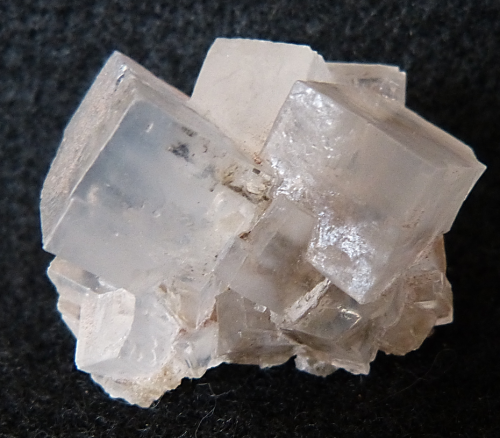 rockon-ro:  HALITE (Sodium Chloride) from Wayne County, Michigan, USA. Cubic crystals of natural halite. 