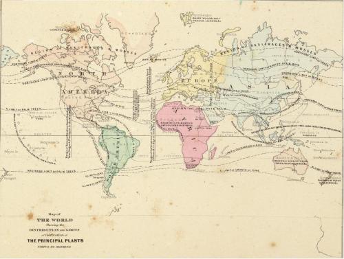 Distribution and Limits of Cultivation of the Principal Plants Useful to Mankind, 1865Source