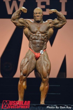 Phil Heath - At the 2015 Olympia.