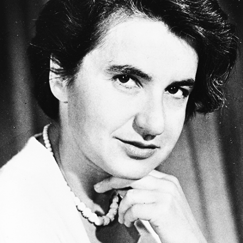 Rosalind Franklin (1920 - 1958)Birthplace: London, UKStudy: Science (Physical Chemistry and X-ray Cr