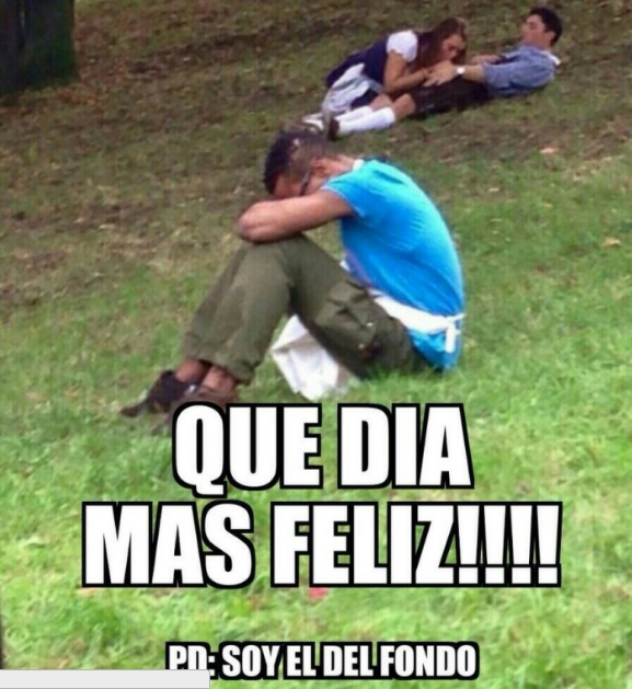 Bienvenido a post de humor y gatos