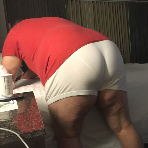 Ass Ass Chubby Asses