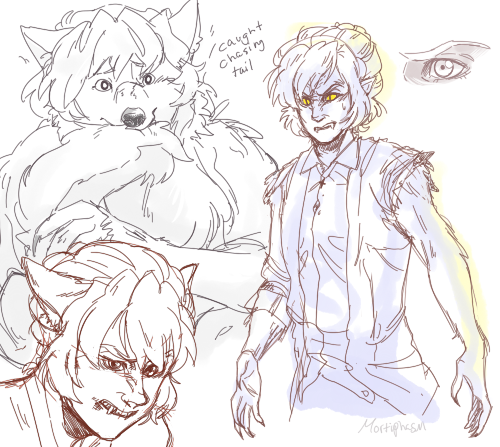 mortiphasm: @holyfuckabear i love your paranormal fic so much so i drew u some werekates